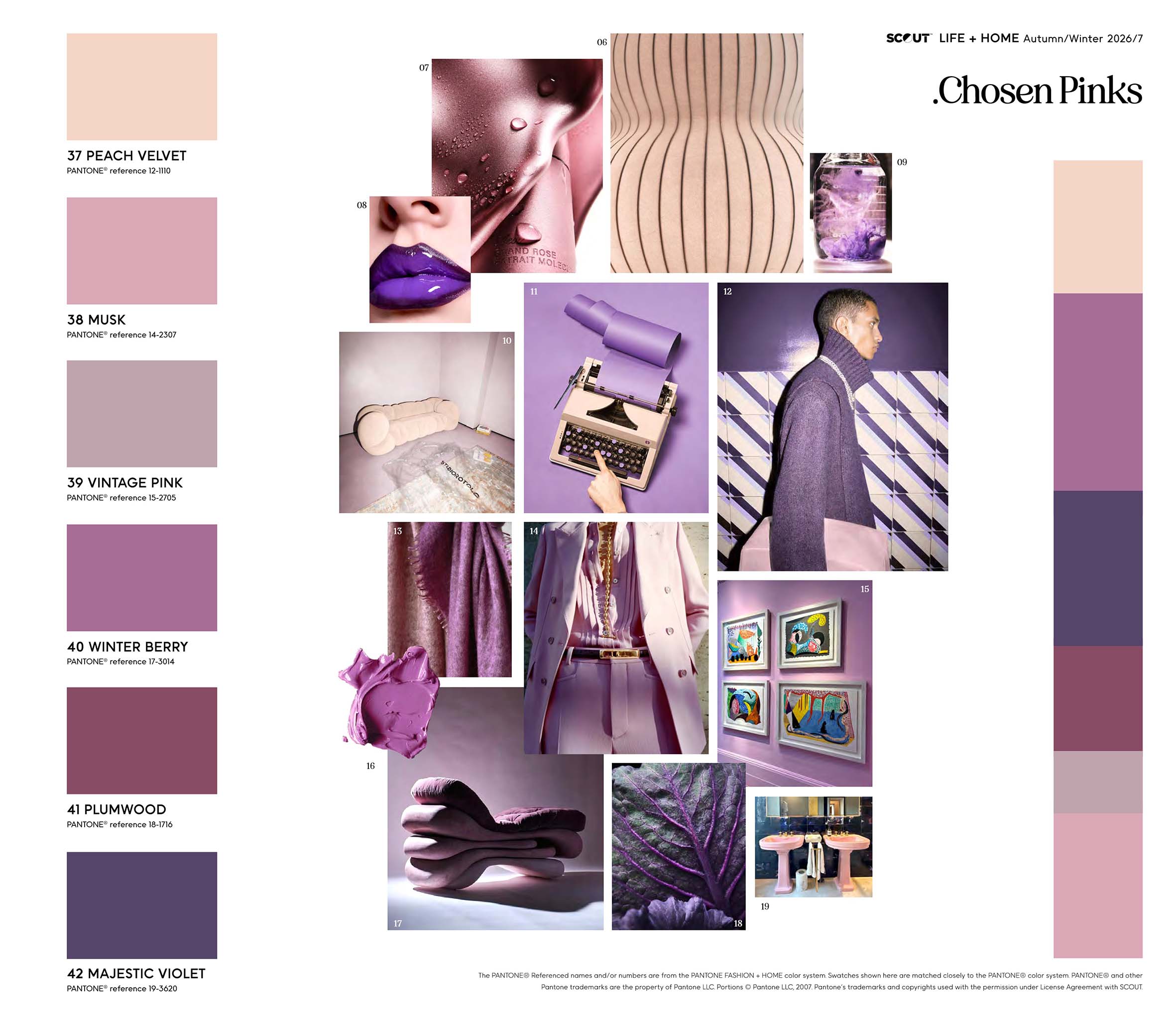 Trend 16