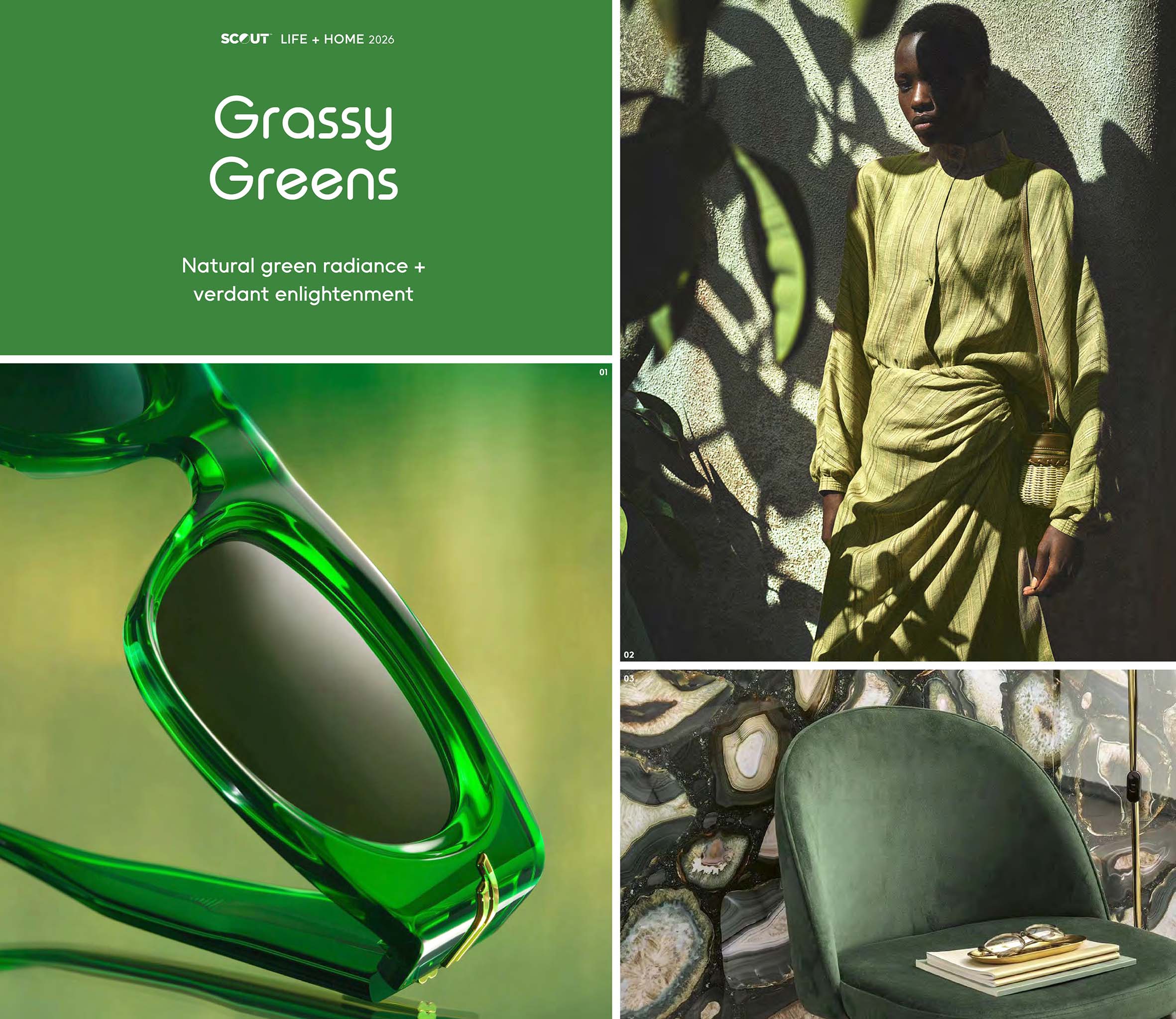 Trend 13